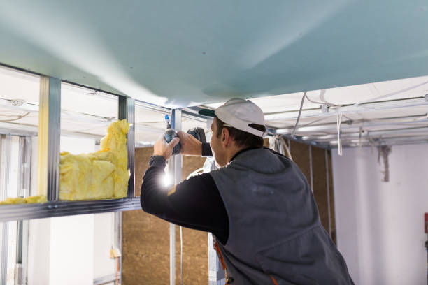 Best Insulation for Specific Applications in Chrisman, IL