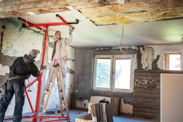 Best Spray Foam Insulation in Chrisman, IL