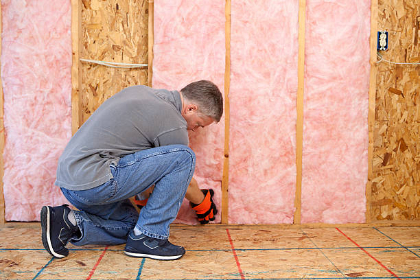 Best Commercial Insulation in Chrisman, IL