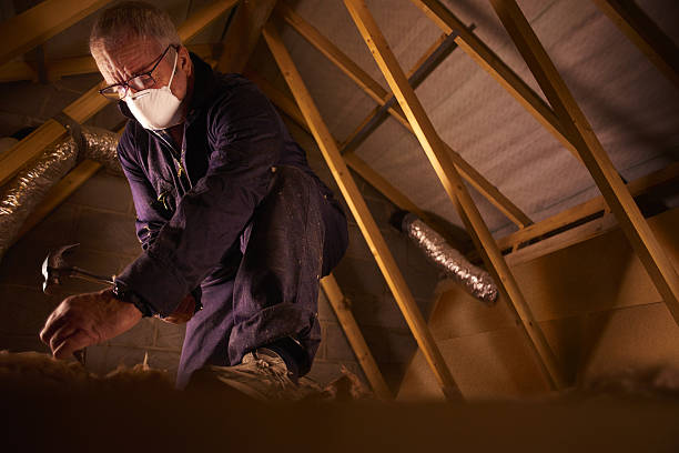 Best Blown-in Insulation in Chrisman, IL
